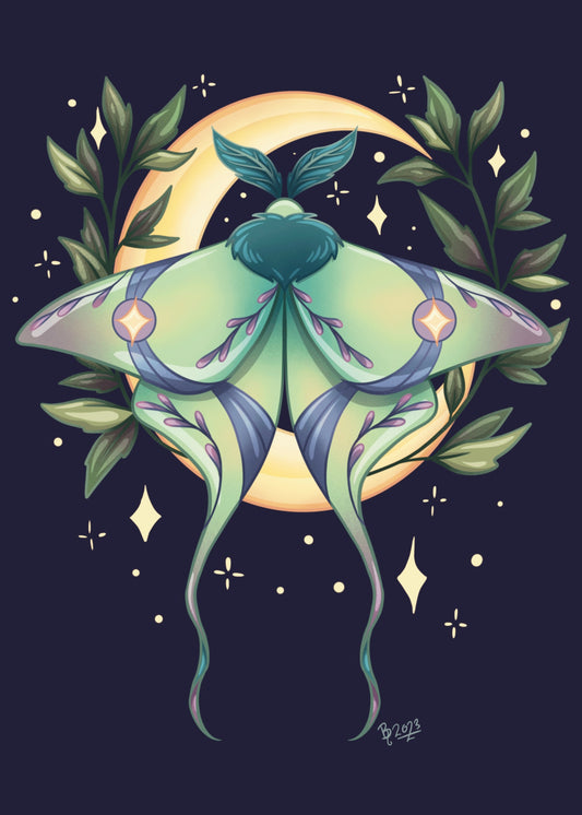 Luna Moth - PRINT