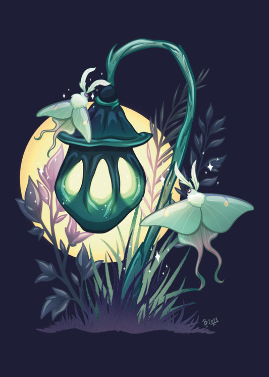 Moth Lantern - PRINT