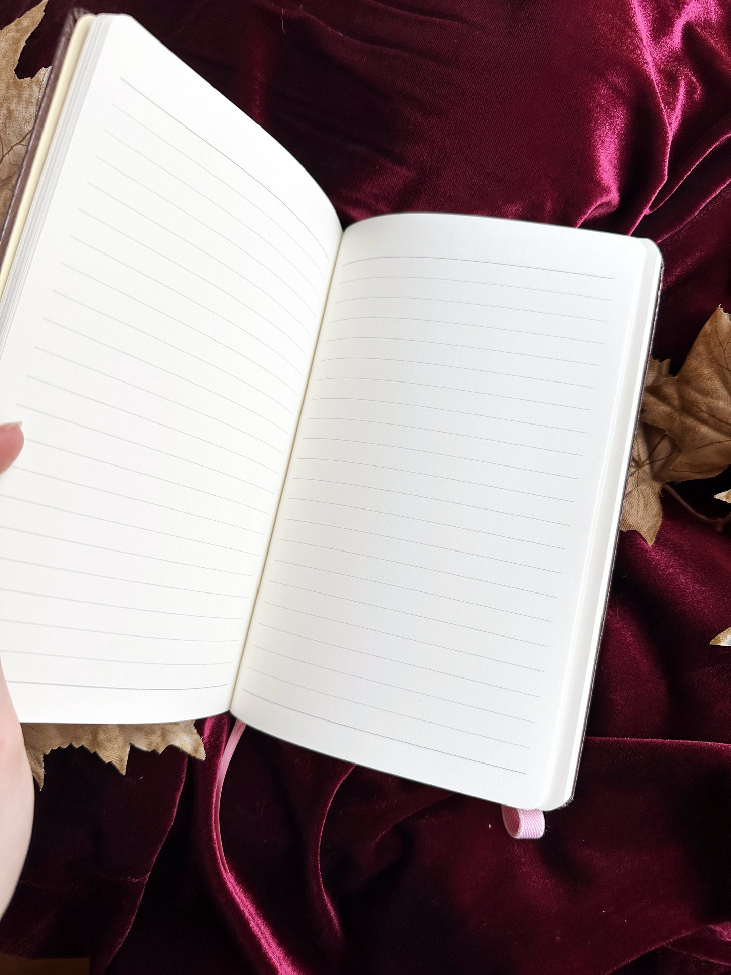 Book Hoarding Dragon - JOURNAL