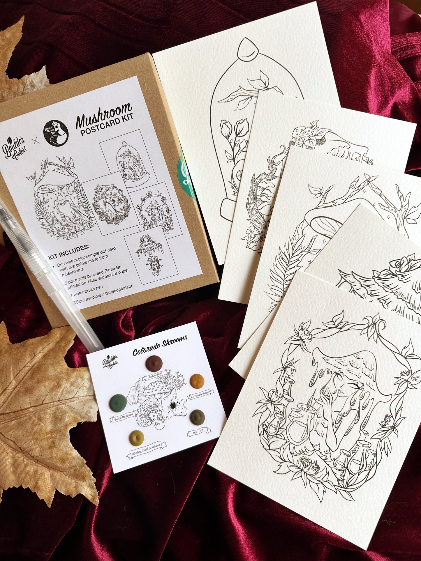 Mushroom Paint Kit - PAINT KIT